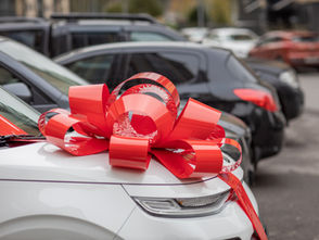 More electric cars and batteries for Christmas 