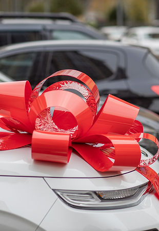 Red Bow on Car Hood