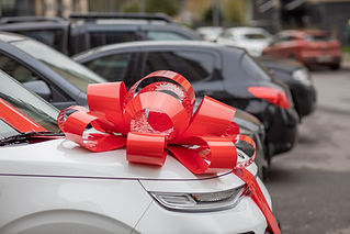 Red Bow on Car Hood