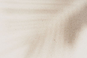 Feather Print