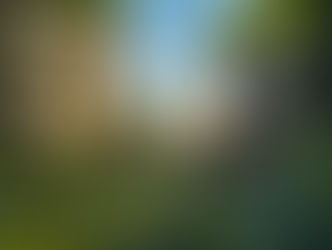 Sayfulina Alfira Feratovna