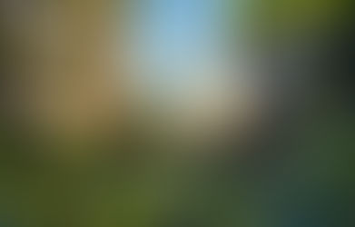 Urban Green Space: Media by WiX