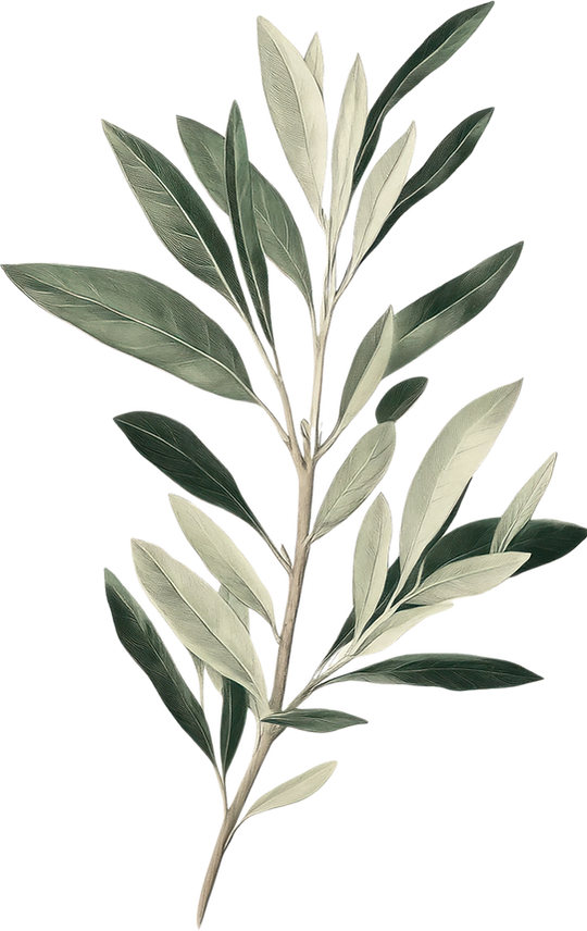 Green Plant Branch