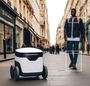 Delivery Robot Street