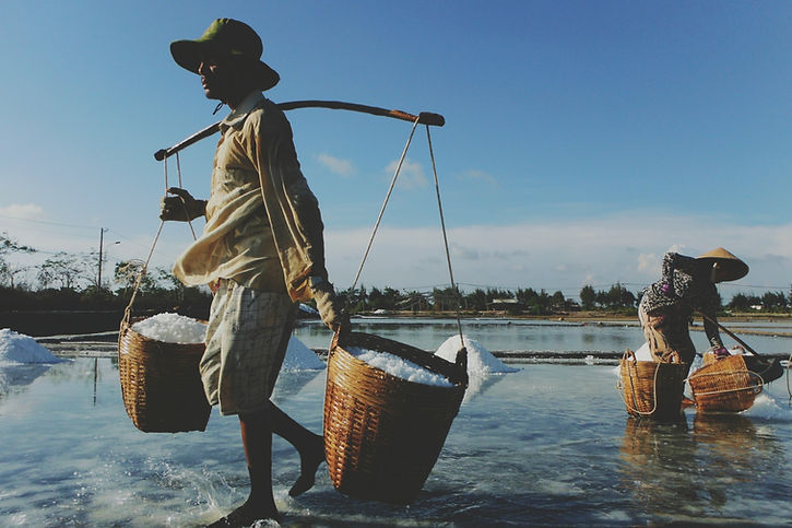 Salt Farm Workers