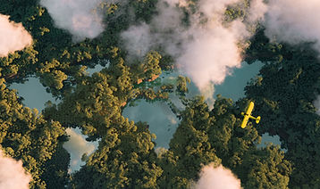 Yellow Plane Over Forest