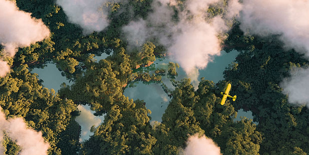 Yellow Plane Over Forest