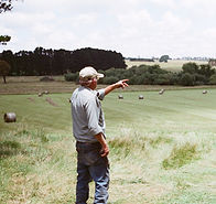 Farmer Pointing Field representing farm insurance