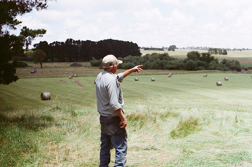 Man in Farm