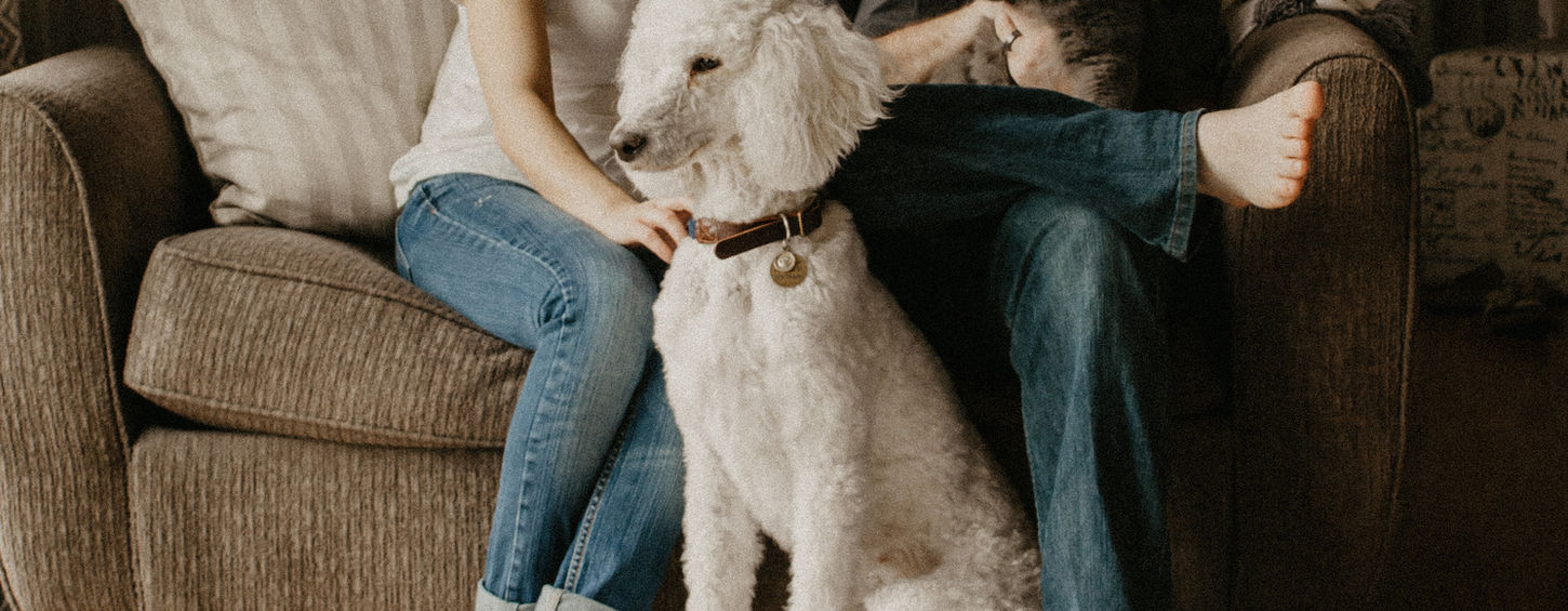 Paar sitzt auf Couch mit Hund und Katze.