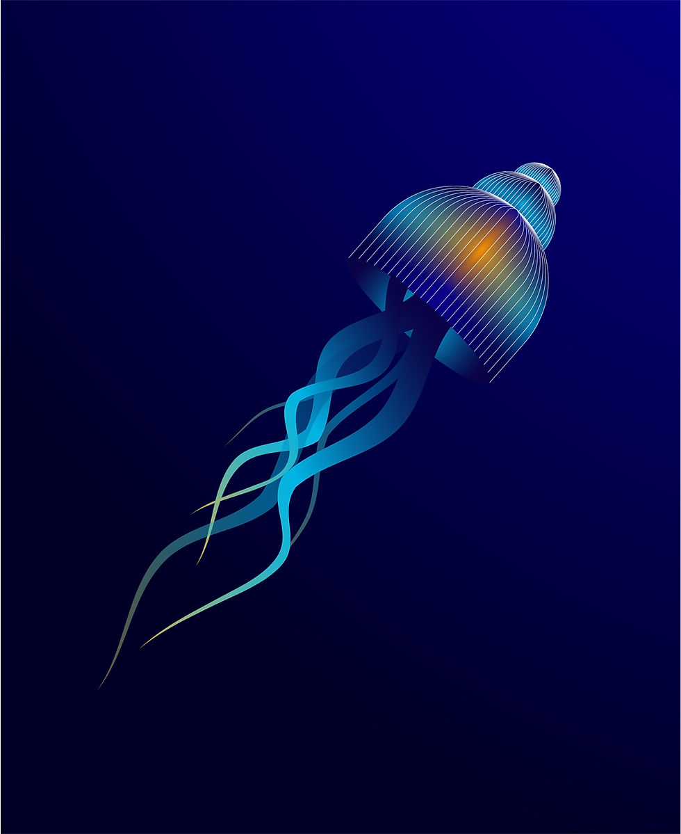 Jellyfish