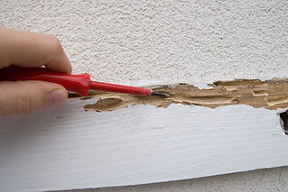 "Shot of damage on a wooden support beam outside on a house, caused by termites