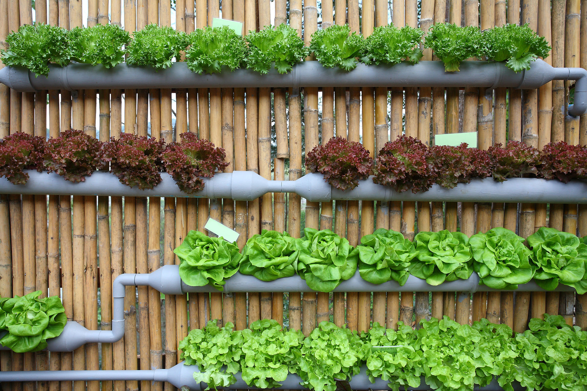 Vertical indoor plant system using coir for indoor plant care and sustainable growing
