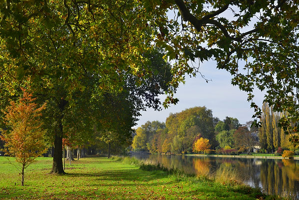 Étang dans le parc