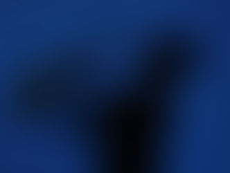 ¿Qué tienen en común Lego, KFC y una fintech peruana de cambio de dólares?