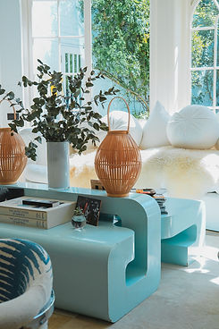 Stylish Living Room