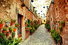 Charming Pathway