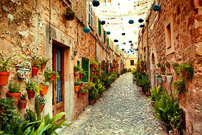Charming Pathway