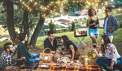Picnic in Park