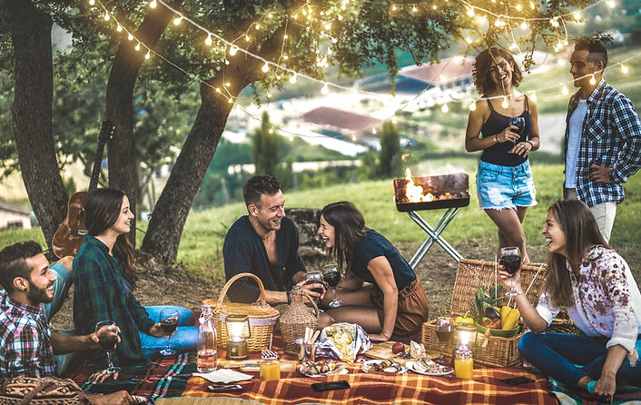 Picnic in Park