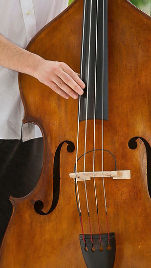 Playing Double Bass