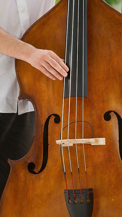 Playing Double Bass
