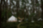 Forest Camping Scene