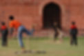 Playing Cricket