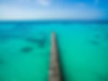 Path on the Water