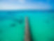 Path on the Water