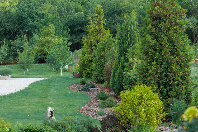 large garden