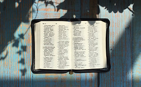 Holy Bible 