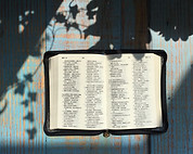 Holy Bible