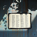 Holy Bible