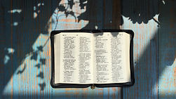 Open Book Outdoors
