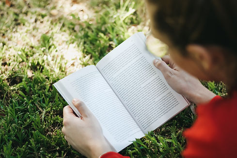 Lecture en plein air