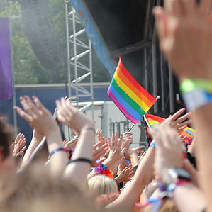 LGBTQ Crowd