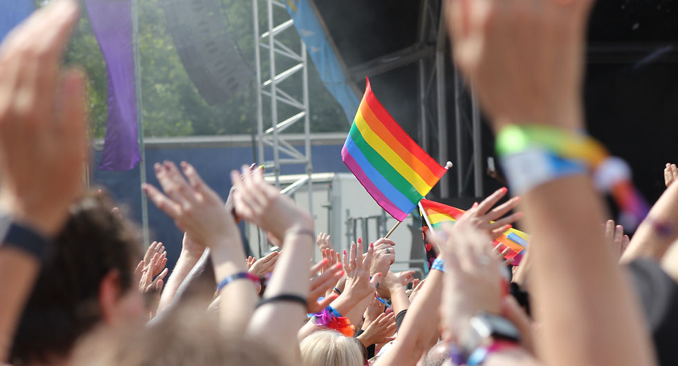 LGBTQ Crowd