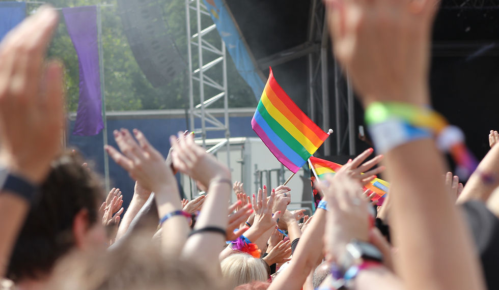 LGBTQ Crowd
