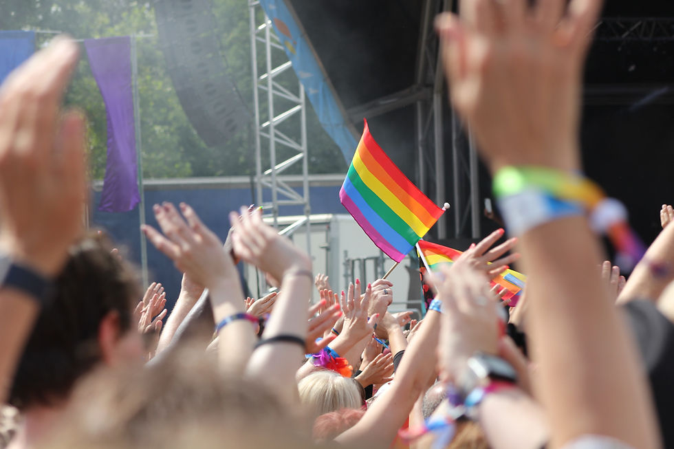 Pride Festival Crowd