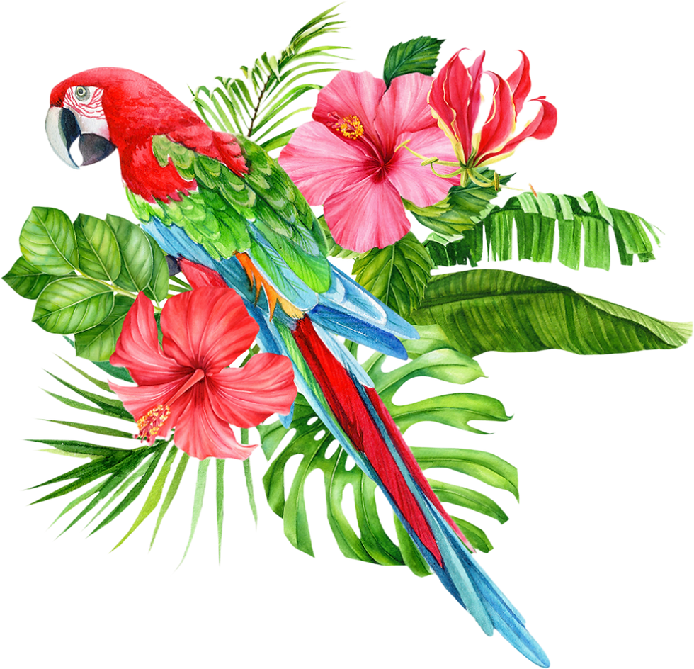 Parrot With Flowers