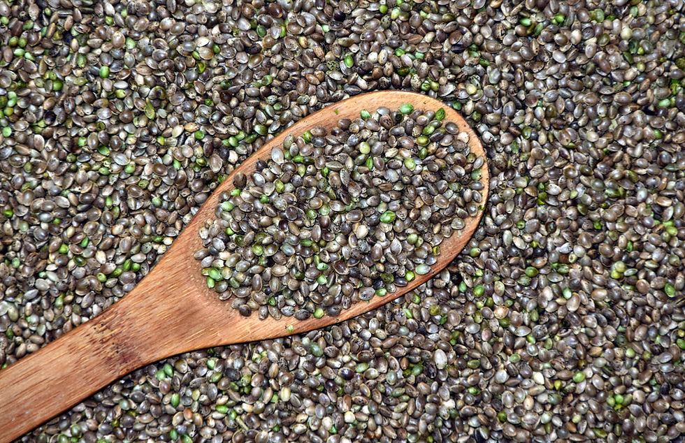 Hemp Seeds Close-Up
