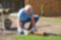 Gardener laying turf
