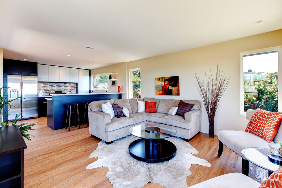 Bright furnished living room with mocha furniture and rug great match with black wood kitchen