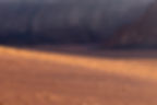 Desert Scene