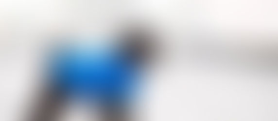 FĂŒnf Tipps fĂŒr gesunde Winterpflege beim Hund