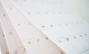 Calendar Pages