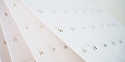Calendar Pages