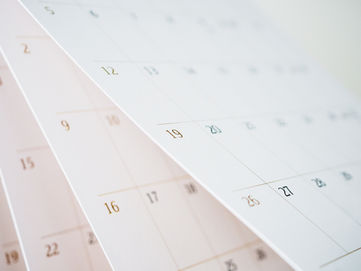 Seasonal Cleanup Guide