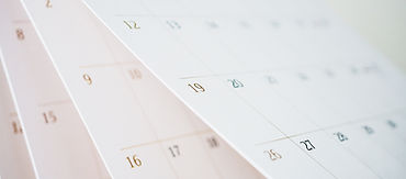 Pagine del calendario